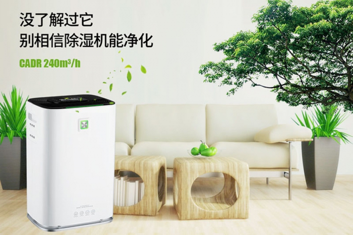一到回南天狗狗就感冒+皮膚病，怎么辦？