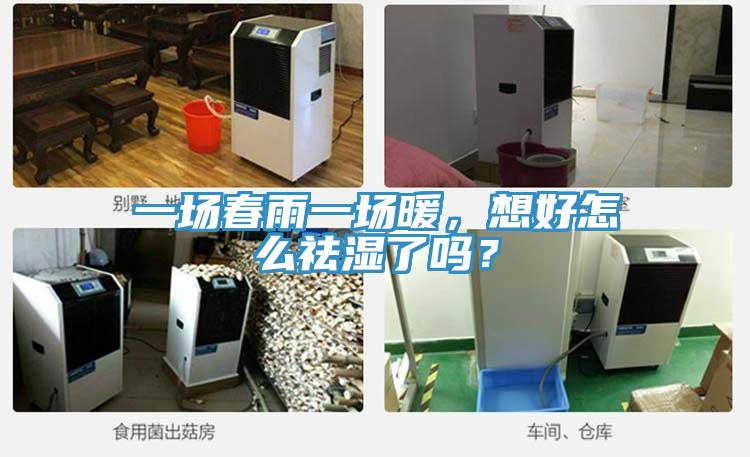 一場春雨一場暖，想好怎么祛濕了嗎？
