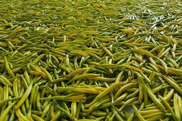 無硫金針菜烘干如何保持品相？不發黑？_除濕機廠家