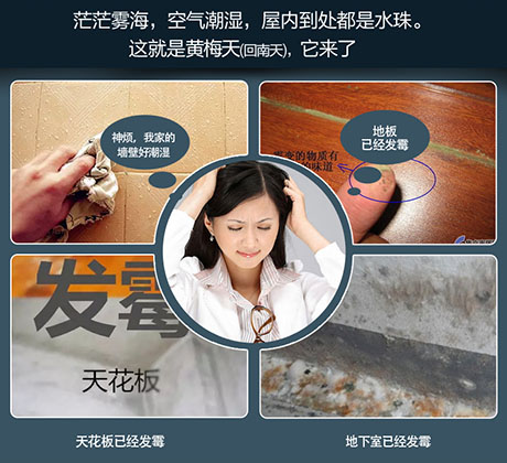 家庭別墅的地下室、衛生間、儲物室等該如何除濕？