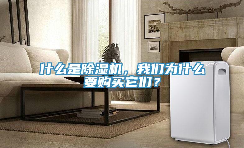什么是除濕機，我們?yōu)槭裁匆徺I它們？