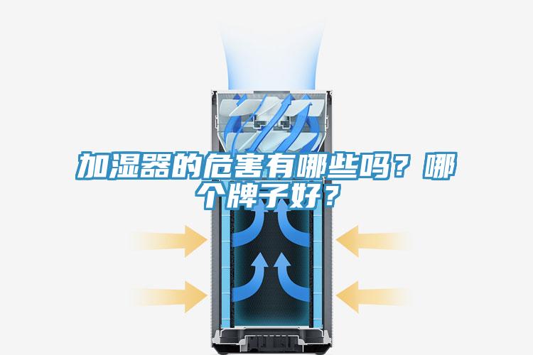 加濕器的危害有哪些嗎？哪個牌子好？