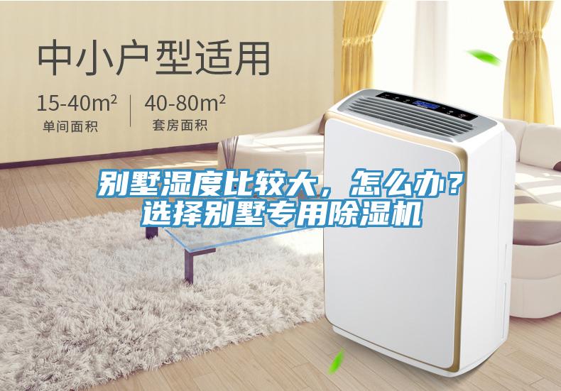 別墅濕度比較大，怎么辦？選擇別墅專用除濕機