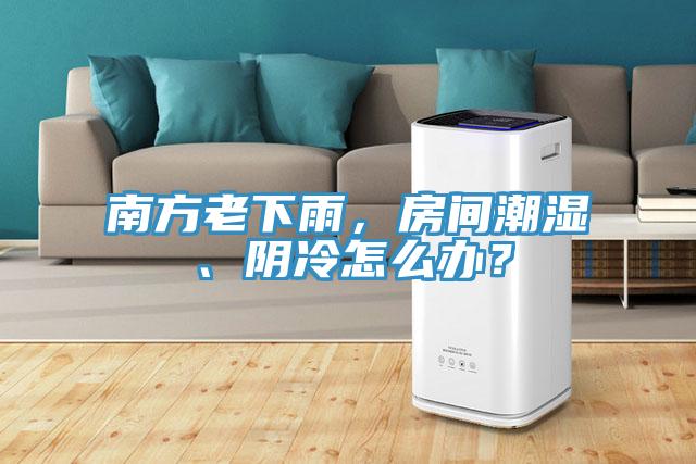 南方老下雨，房間潮濕、陰冷怎么辦？