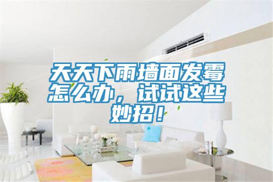 天天下雨墻面發(fā)霉怎么辦，試試這些妙招！