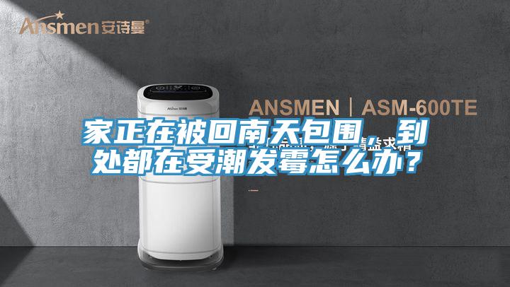 家正在被回南天包圍，到處都在受潮發霉怎么辦？