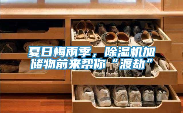 夏日梅雨季，除濕機加儲物前來幫你“渡劫”