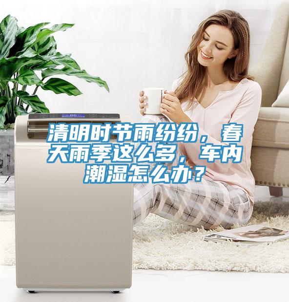 清明時節(jié)雨紛紛，春天雨季這么多，車內(nèi)潮濕怎么辦？
