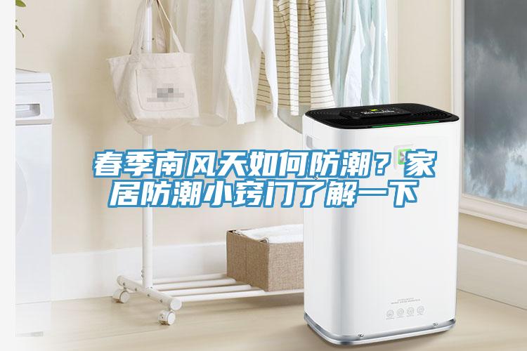 春季南風(fēng)天如何防潮？家居防潮小竅門了解一下