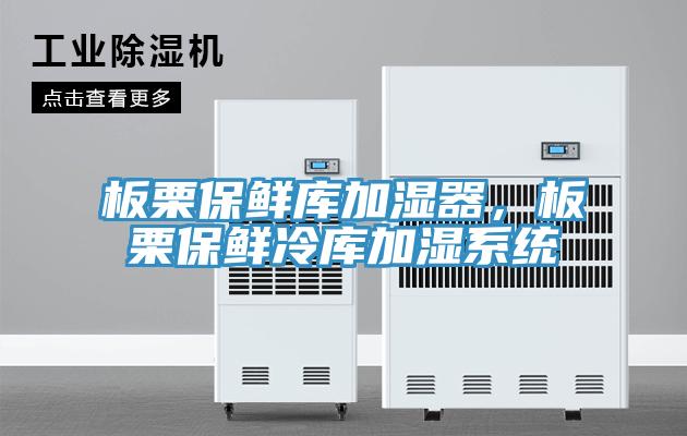 板栗保鮮庫加濕器，板栗保鮮冷庫加濕系統