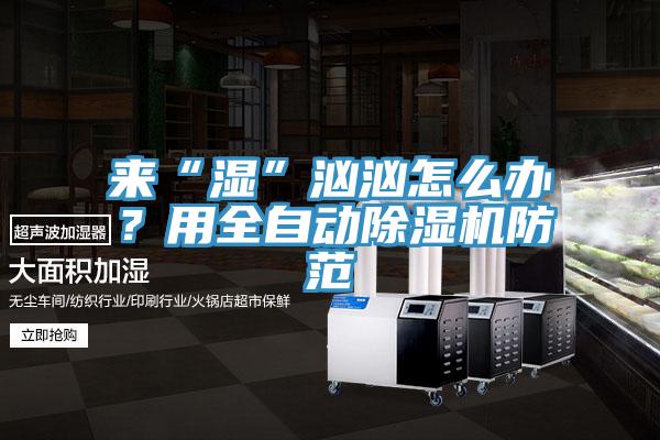 來“濕”洶洶怎么辦？用全自動除濕機防范