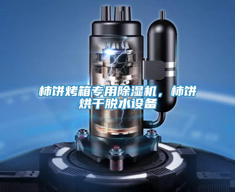 柿餅烤箱專用除濕機，柿餅烘干脫水設(shè)備