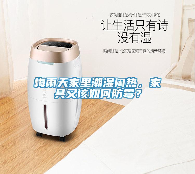 梅雨天家里潮濕悶熱，家具又該如何防霉？