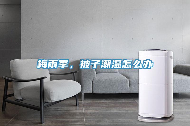 梅雨季，被子潮濕怎么辦