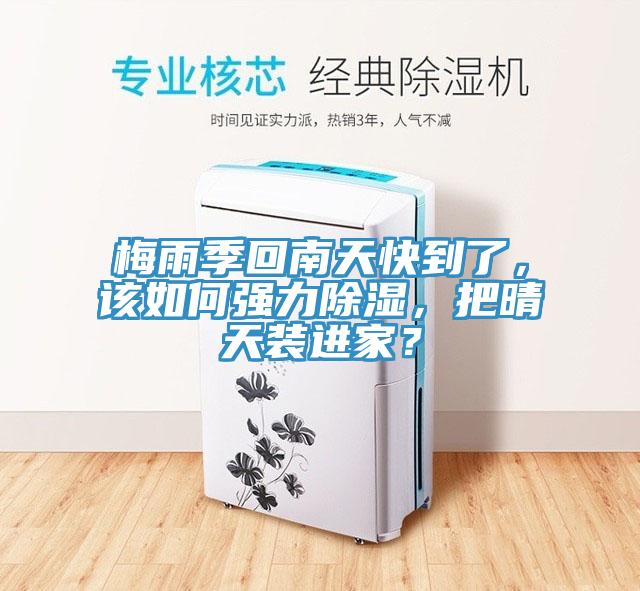 梅雨季回南天快到了，該如何強力除濕，把晴天裝進家？