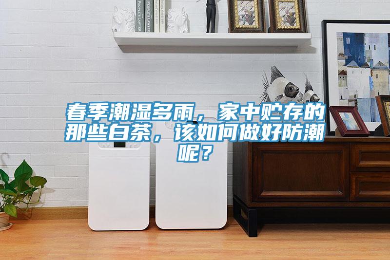 春季潮濕多雨，家中貯存的那些白茶，該如何做好防潮呢？