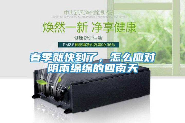 春季就快到了，怎么應對陰雨綿綿的回南天