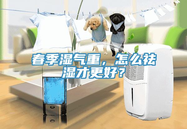 春季濕氣重，怎么祛濕才更好？