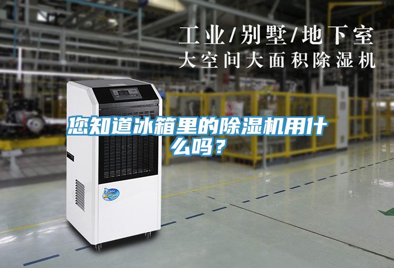 您知道冰箱里的除濕機用什么嗎？