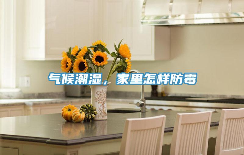 氣候潮濕，家里怎樣防霉