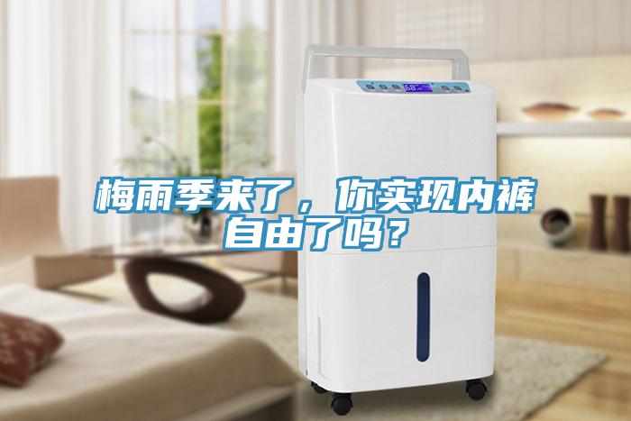 梅雨季來了，你實現內褲自由了嗎？
