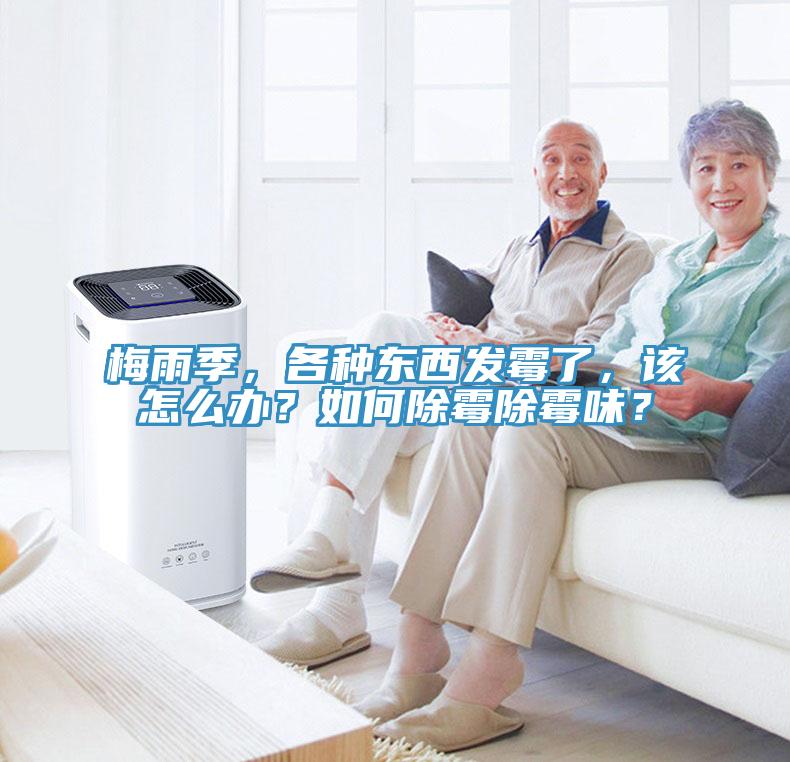 梅雨季，各種東西發(fā)霉了，該怎么辦？如何除霉除霉味？