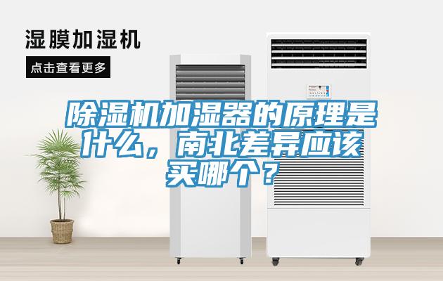 除濕機(jī)加濕器的原理是什么，南北差異應(yīng)該買(mǎi)哪個(gè)？