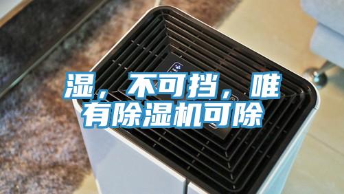 濕，不可擋，唯有除濕機可除