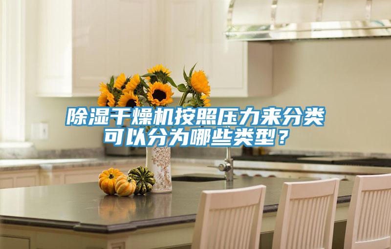 除濕干燥機(jī)按照壓力來分類可以分為哪些類型？