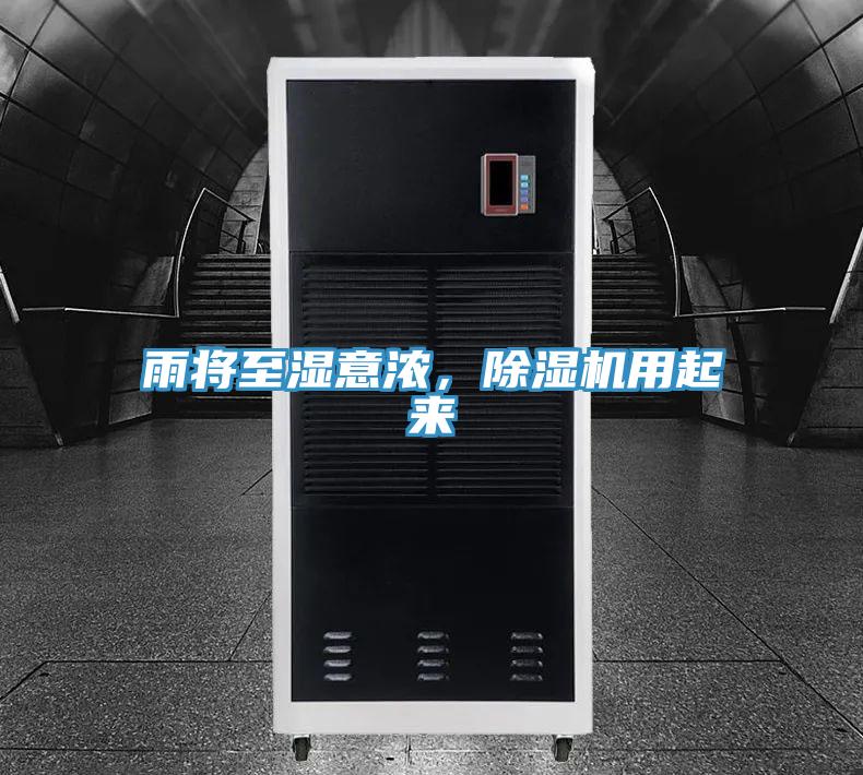 雨將至濕意濃，除濕機用起來