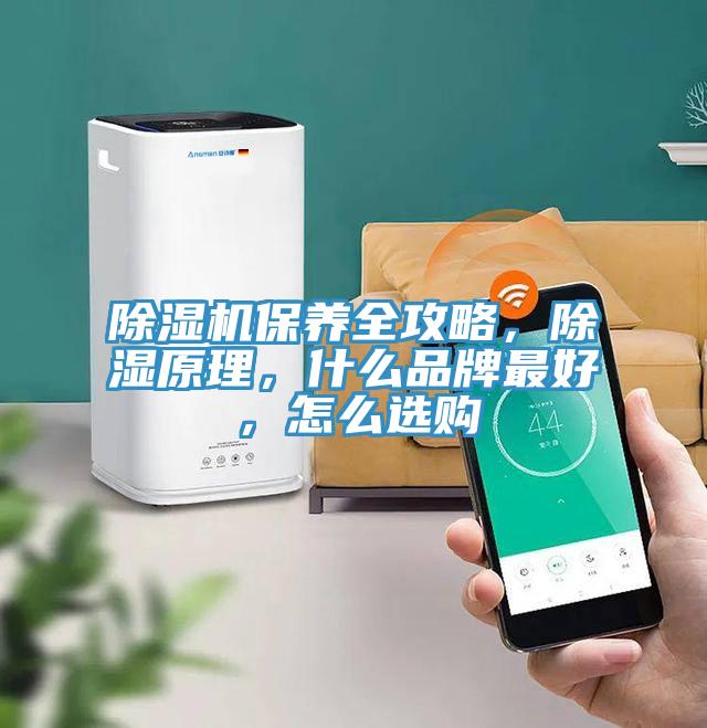 除濕機(jī)保養(yǎng)全攻略，除濕原理，什么品牌最好，怎么選購(gòu)