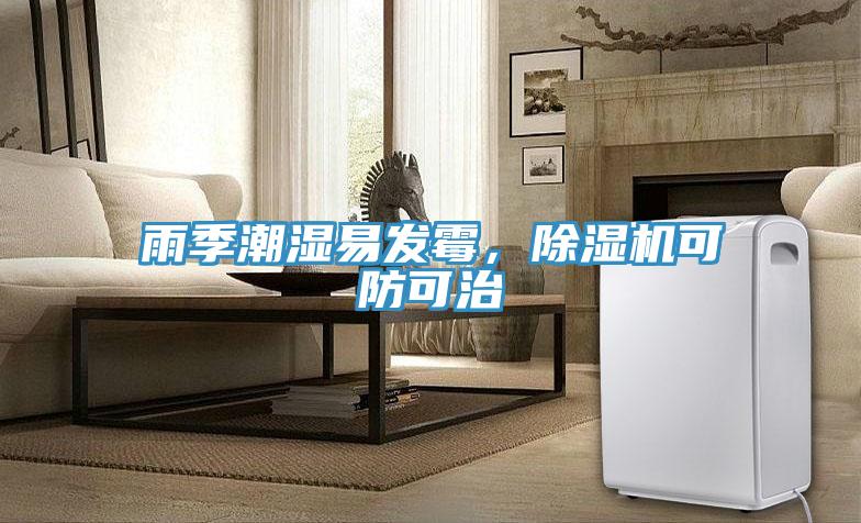雨季潮濕易發(fā)霉，除濕機(jī)可防可治