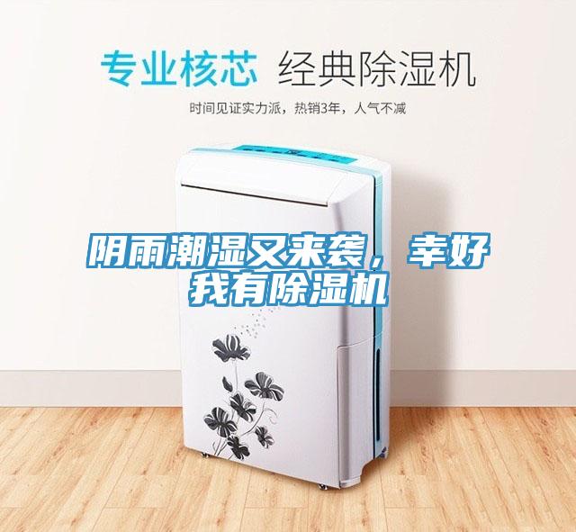 陰雨潮濕又來(lái)襲，幸好我有除濕機(jī)