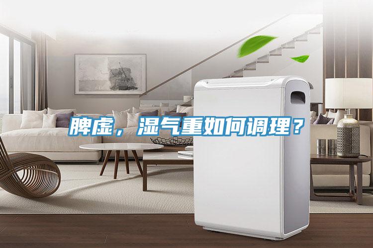 脾虛，濕氣重如何調理？