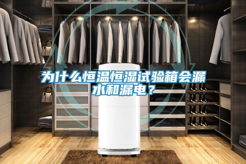為什么恒溫恒濕試驗(yàn)箱會(huì)漏水和漏電？