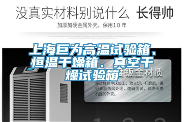 上海巨為高溫試驗(yàn)箱、恒溫干燥箱、真空干燥試驗(yàn)箱