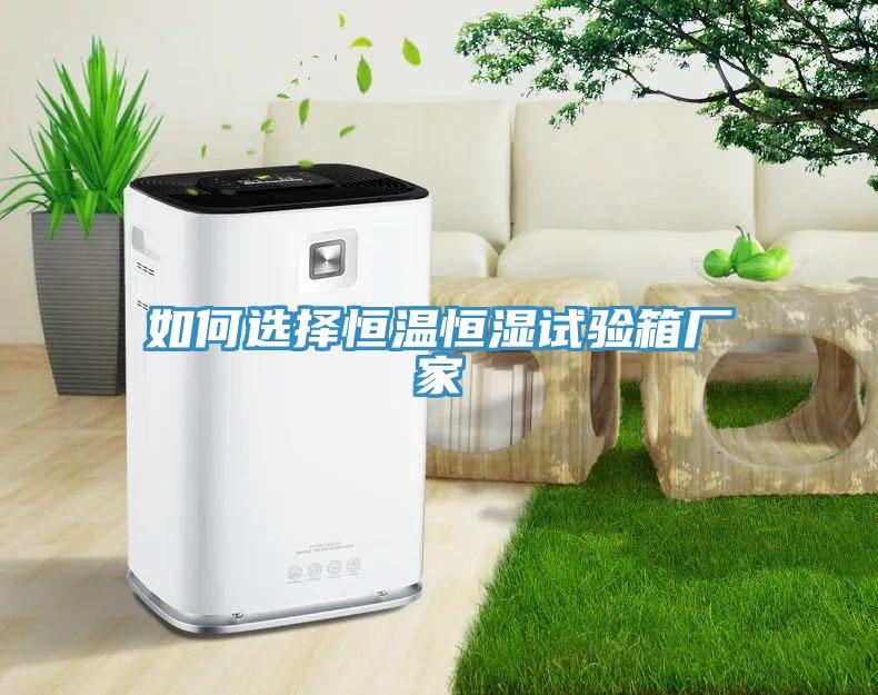 如何選擇恒溫恒濕試驗(yàn)箱廠(chǎng)家