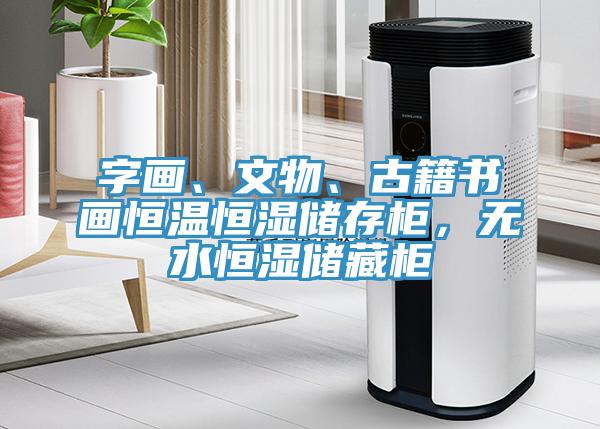 字畫(huà)、文物、古籍書(shū)畫(huà)恒溫恒濕儲(chǔ)存柜，無(wú)水恒濕儲(chǔ)藏柜