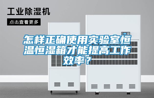 怎樣正確使用實驗室恒溫恒濕箱才能提高工作效率？