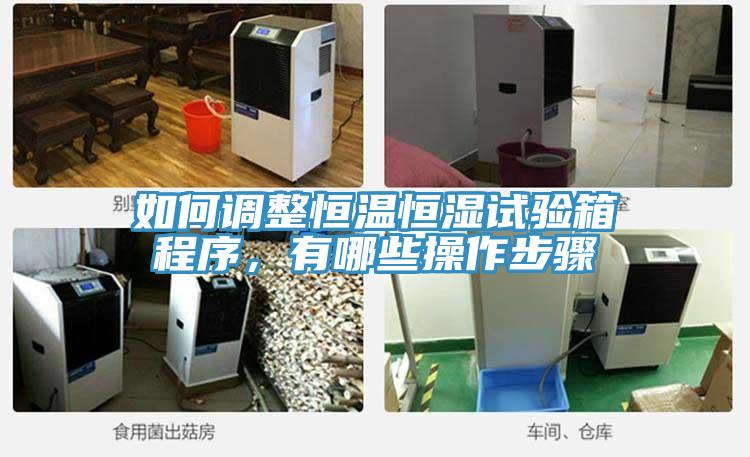 如何調(diào)整恒溫恒濕試驗(yàn)箱程序，有哪些操作步驟
