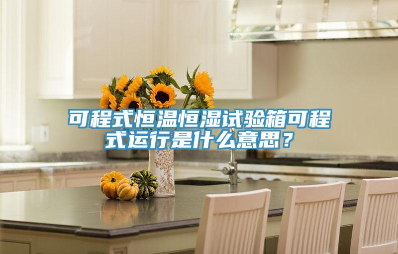 可程式恒溫恒濕試驗箱可程式運行是什么意思？