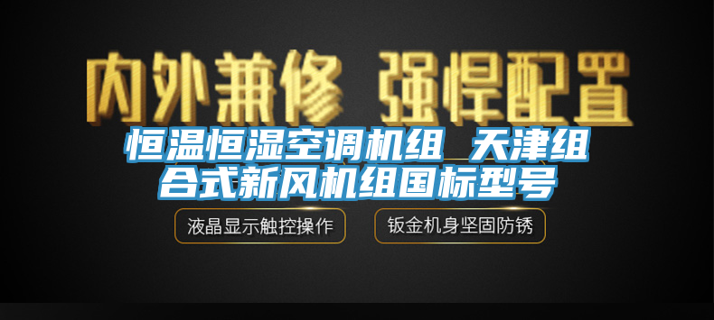 恒溫恒濕空調(diào)機組 天津組合式新風(fēng)機組國標(biāo)型號