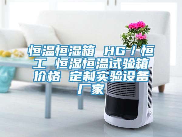 恒溫恒濕箱 HG／恒工 恒濕恒溫試驗(yàn)箱價(jià)格 定制實(shí)驗(yàn)設(shè)備廠(chǎng)家