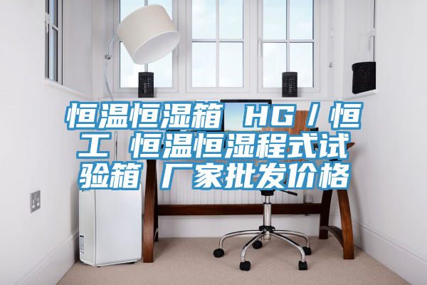 恒溫恒濕箱 HG／恒工 恒溫恒濕程式試驗(yàn)箱 廠(chǎng)家批發(fā)價(jià)格