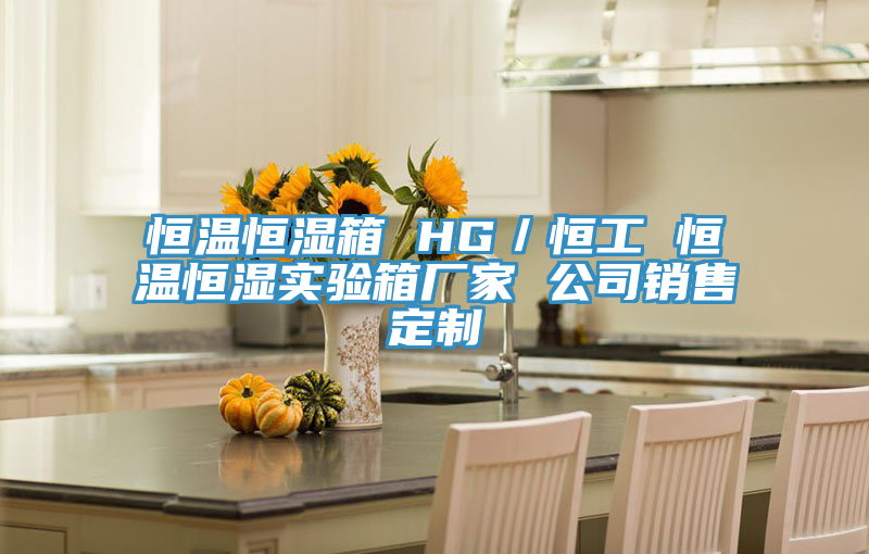 恒溫恒濕箱 HG／恒工 恒溫恒濕實(shí)驗(yàn)箱廠(chǎng)家 公司銷(xiāo)售定制