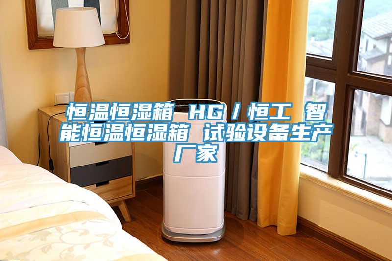 恒溫恒濕箱 HG／恒工 智能恒溫恒濕箱 試驗(yàn)設(shè)備生產(chǎn)廠(chǎng)家