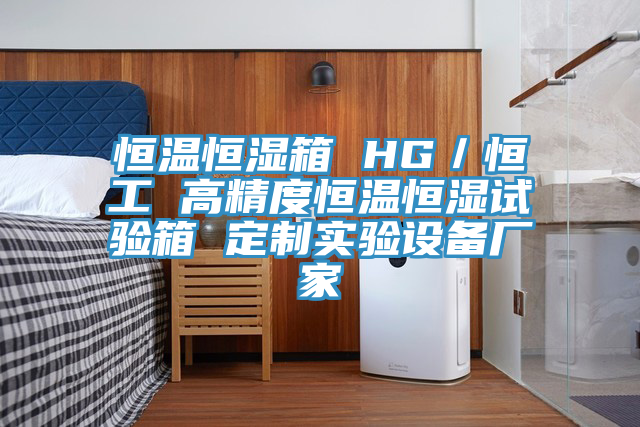 恒溫恒濕箱 HG／恒工 高精度恒溫恒濕試驗(yàn)箱 定制實(shí)驗(yàn)設(shè)備廠(chǎng)家