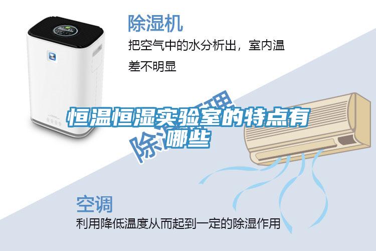 恒溫恒濕實(shí)驗室的特點(diǎn)有哪些