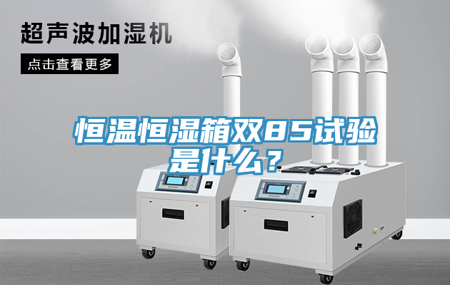 恒溫恒濕箱雙85試驗是什么？
