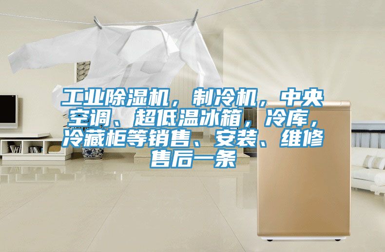 工業除濕機，制冷機，中央空調、超低溫冰箱，冷庫，冷藏柜等銷售、安裝、維修售后一條